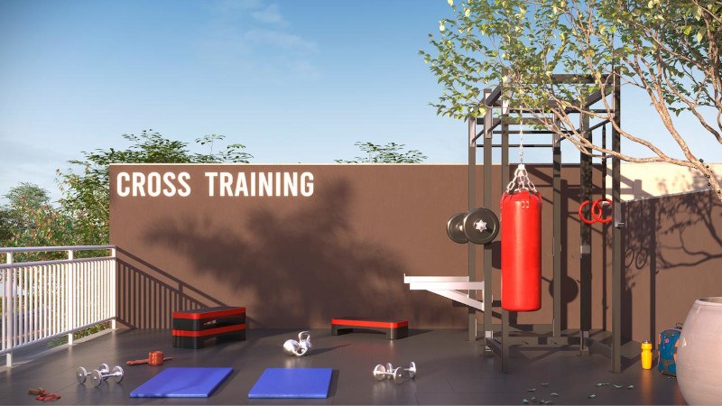 Perspectiva artística do cross training